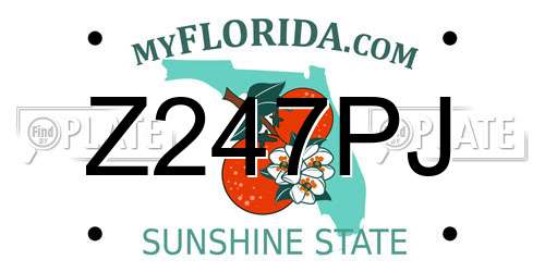 Z247PJ Florida License Plate