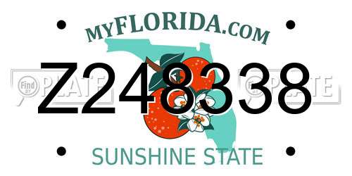 Z248338 Florida License Plate
