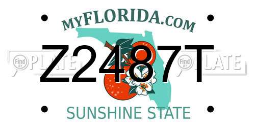 Z2487T Florida License Plate