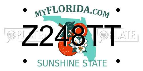Z248TT Florida License Plate