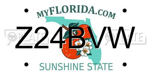 Z24BVW Florida License Plate