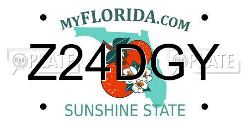 Z24DGY Florida License Plate