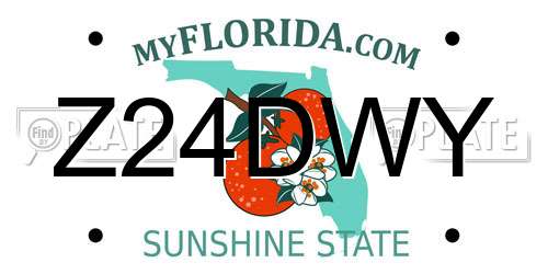 Z24DWY Florida License Plate