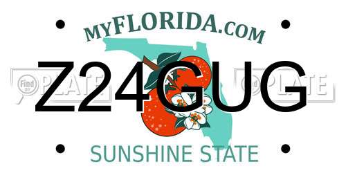 Z24GUG Florida License Plate