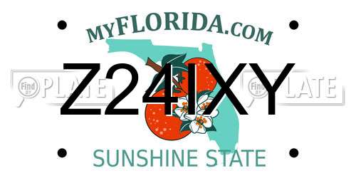Z24IXY Florida License Plate