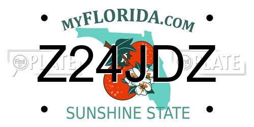 Z24JDZ Florida License Plate