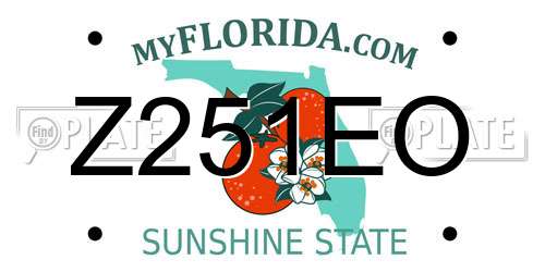 Z251EO Florida License Plate