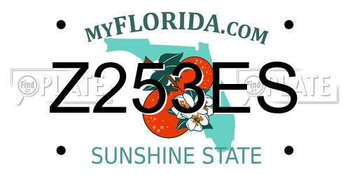 Z253ES Florida License Plate