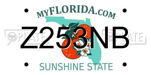 Z253NB Florida License Plate