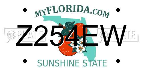 Z254EW Florida License Plate