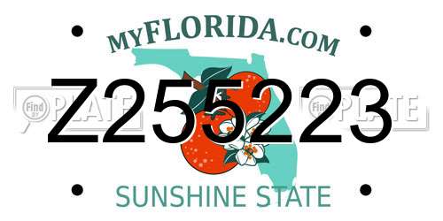 Z255223 Florida License Plate