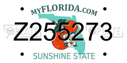 Z255273 Florida License Plate