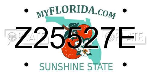 Z25527E Florida License Plate