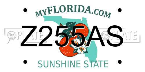 Z255AS Florida License Plate