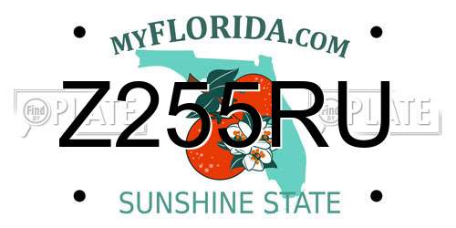 Z255RU Florida License Plate