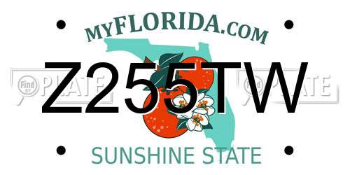 Z255TW Florida License Plate