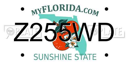 Z255WD Florida License Plate