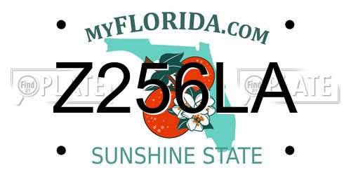 Z256LA Florida License Plate
