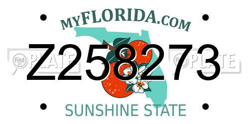 Z258273 Florida License Plate