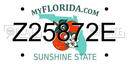 Z25872E Florida License Plate