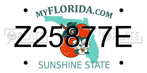 Z25877E Florida License Plate