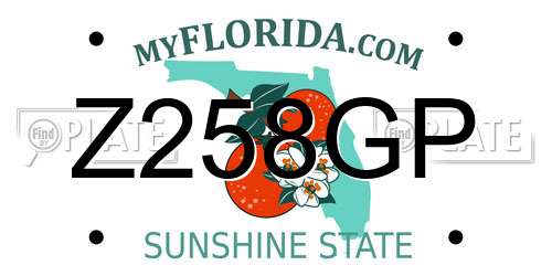 Z258GP Florida License Plate