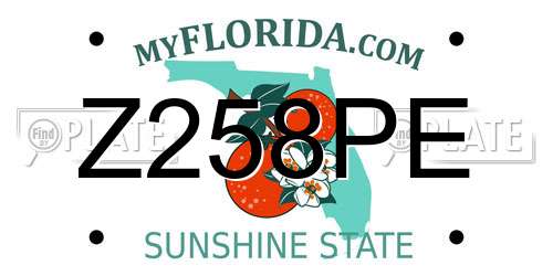 Z258PE Florida License Plate
