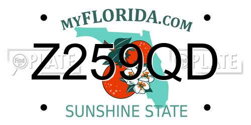 Z259QD Florida License Plate