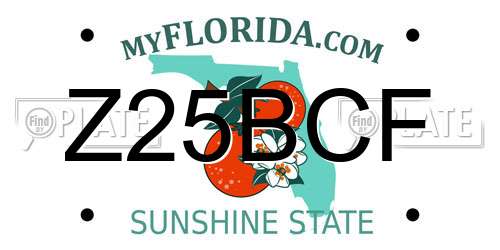 Z25BCF Florida License Plate