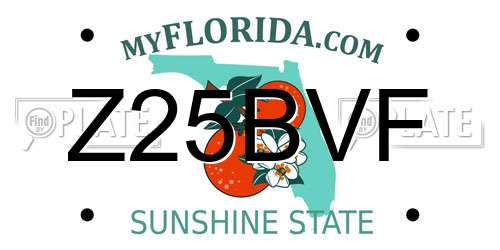 Z25BVF Florida License Plate