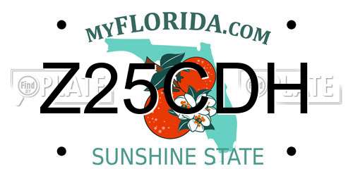 Z25CDH Florida License Plate