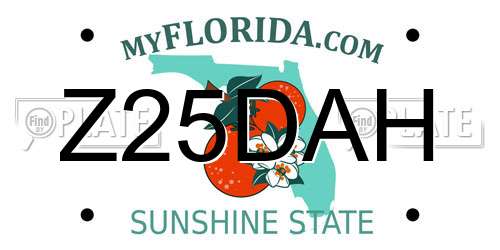 Z25DAH Florida License Plate
