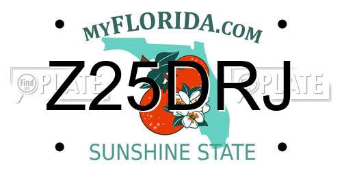 Z25DRJ Florida License Plate