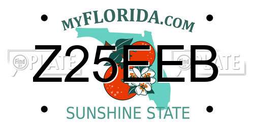 Z25EEB Florida License Plate