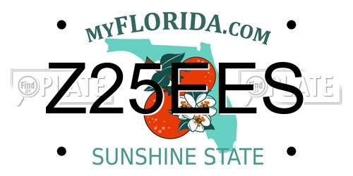 Z25EES Florida License Plate