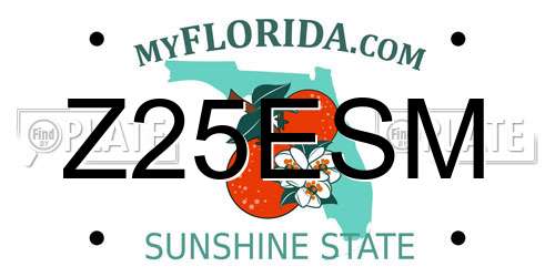 Z25ESM Florida License Plate