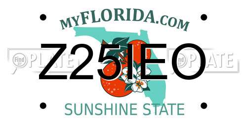Z25IEO Florida License Plate