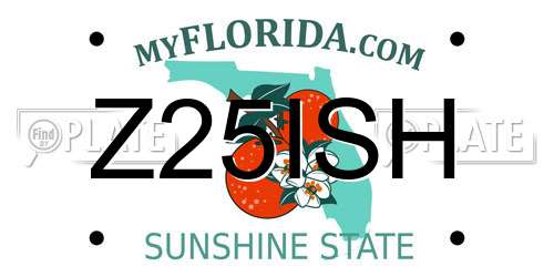 Z25ISH Florida License Plate