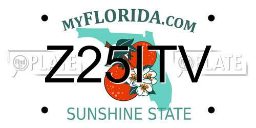 Z25ITV Florida License Plate