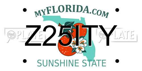 Z25ITY Florida License Plate