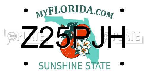 Z25PJH Florida License Plate