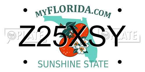 Z25XSY Florida License Plate