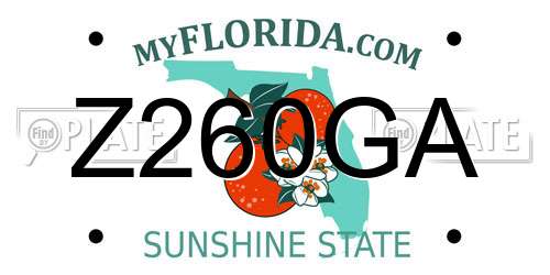 Z260GA Florida License Plate