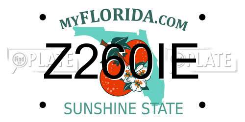 Z260IE Florida License Plate