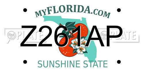Z261AP Florida License Plate