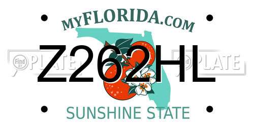 Z262HL Florida License Plate