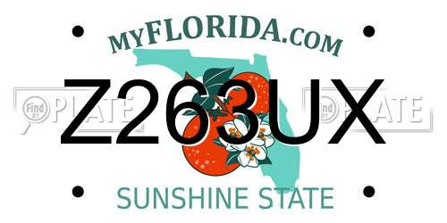 Z263UX Florida License Plate