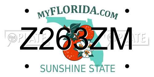 Z263ZM Florida License Plate