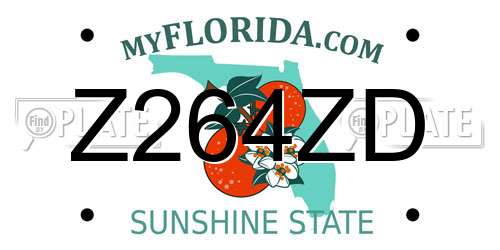 Z264ZD Florida License Plate