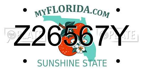 Z26567Y Florida License Plate